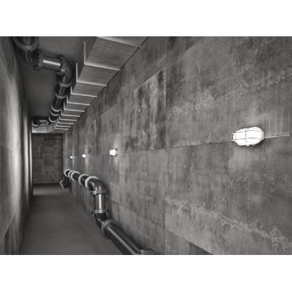 Luminária de teto para exterior OVAL 1xE27/60W/230V IP44 branca