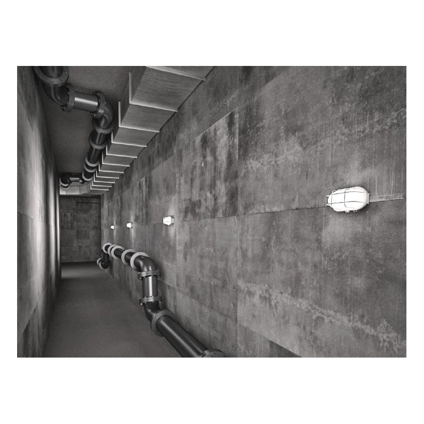 Luminária de teto para exterior OVAL 1xE27/60W/230V IP44 branca