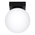 Luminária de teto YOLI 1xG9/12W/230V preta