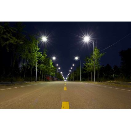 Luminária de Rua LED BOSTON LED/35W/230V IP65