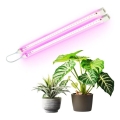 Luminária LED para cultivo de plantas GROWLY 2xLED/8,5W/230V branco