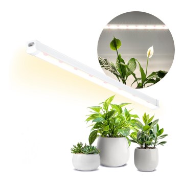 Luminária LED para cultivo de plantas GROWLY LED/15W/230V