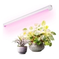 Luminária LED para cultivo de plantas GROWLY LED/9W/230V branco