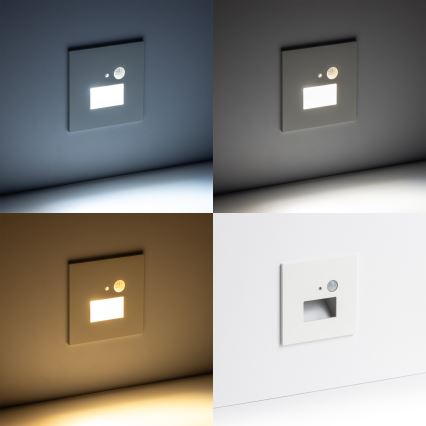 Luminária LED para escadas com sensor de movimento e crepuscular LED/1,5W/230V 3000/4000/6000K branca