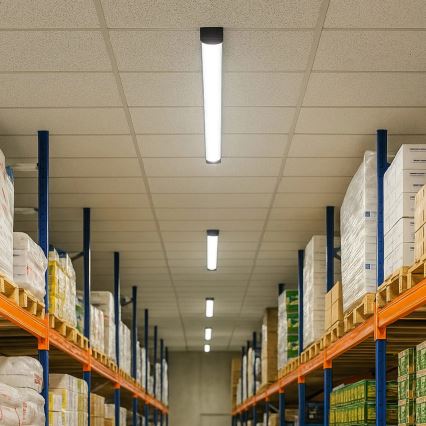 Luminária LED tipo fluorescente LED/18W/230V 4000K 60 cm preta