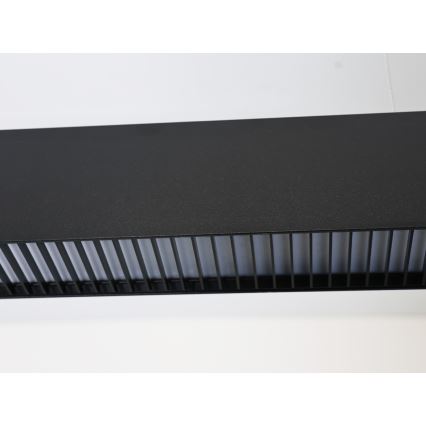 Luminária pendente LED em cabo LED/55W/230V 3000/4000/6500K 120 cm preta