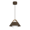 Lustre com cabo FUNDA 1xE27/15W/230V castanho
