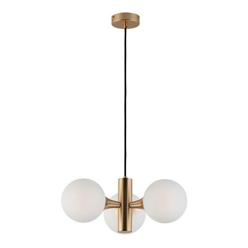 Lustre com cabo GLOBE 3xE14/7W/230V dourado