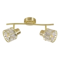 Lustre de tecto de superfície ZAHARA 2xE27/10W/230V dourado