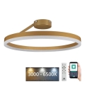 Lustre de teto LED dimmerizável LED/40W/230V 3000-6500K dourado + controlo remoto