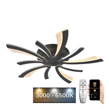 Lustre de teto LED dimmerizável LED/55W/230V 3000-6500K com controlo remoto