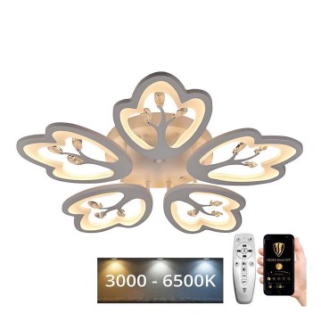 Lustre de teto LED dimmerizável LED/80W/230V 3000-6500K com controlo remoto