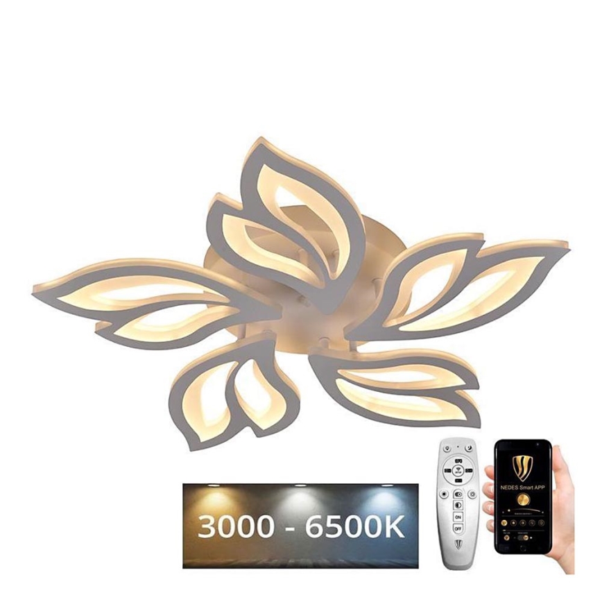 Lustre de teto LED regulável LED/65W/230V 3000-6500K + controlo remoto