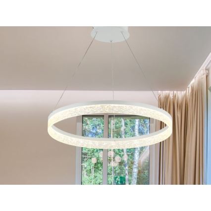 Lustre LED regulável suspenso em cabo ALIANZ LED/45W/230V 3000-6000K Ø 60 cm + controlo remoto
