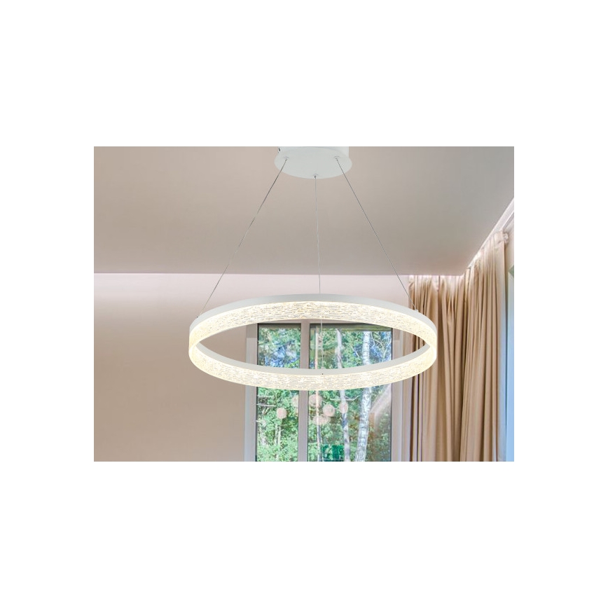 Lustre LED regulável suspenso em cabo ALIANZ LED/45W/230V 3000-6000K Ø 60 cm + controlo remoto