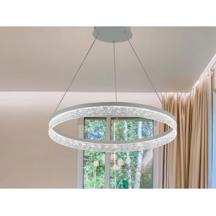 Lustre LED regulável suspenso em cabo ALIANZ LED/45W/230V 3000-6000K Ø 60 cm + controlo remoto