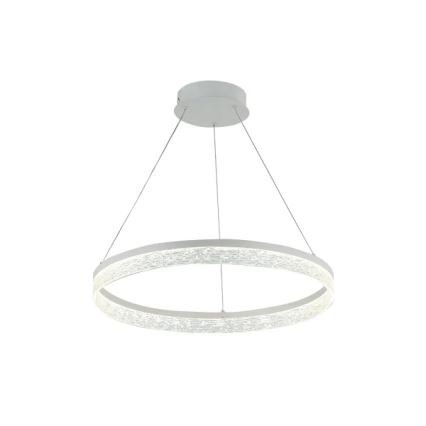 Lustre LED dimável suspenso por cabo ALIANZ LED/60W/230V 3000-6000K, diâmetro 80 cm + comando remoto