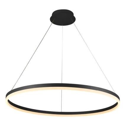 Lustre LED regulável em cabo LED/55W/230V 3000-6500K diâmetro 80 cm + comando à distância