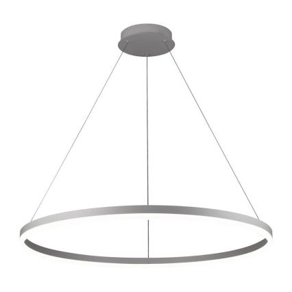 Lustre LED regulável em cabo LED/55W/230V 3000-6500K diâmetro 80 cm + comando à distância