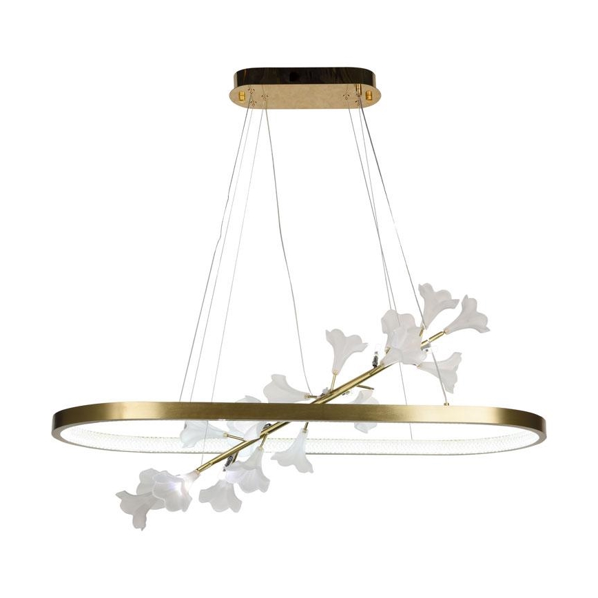 Lustre LED regulável em cabo LED/65W/230V 3000-6500K + comando à distância