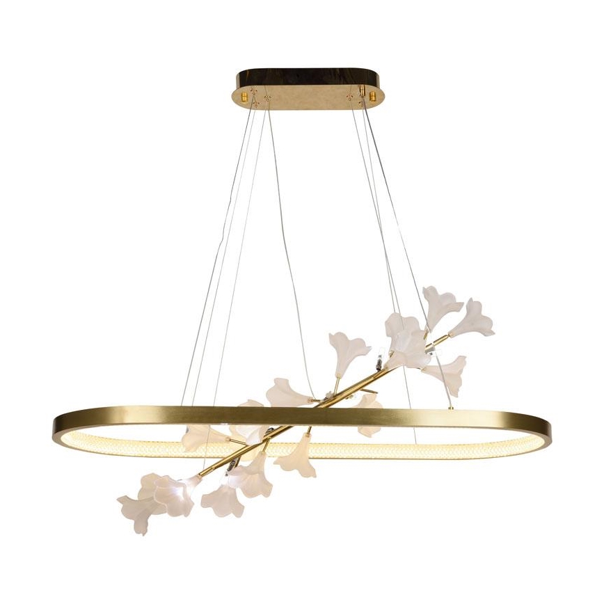Lustre LED regulável em cabo LED/65W/230V 3000-6500K + comando à distância