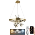 Lustre LED dimmerizável em cabo LED/40W/230V 3000-6500K dourado + controlo remoto