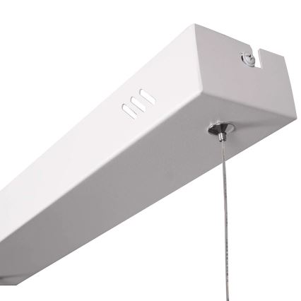 Lustre LED em cabo BERNADETTA LED/20W/230V 4000K branco