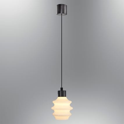 Lustre LED em cabo CACTUS LED/3W/230V 3000K preto/branco