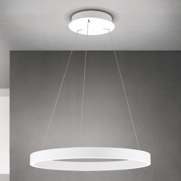 Lustre LED regulável em cabo KOLK LED/60W/230V 2700/3000/4000K Ø 60 cm branco