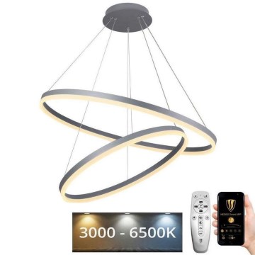 Lustre LED regulável em cabo LED/100W/230V 3000-6500K diâmetro 80 cm + comando à distância