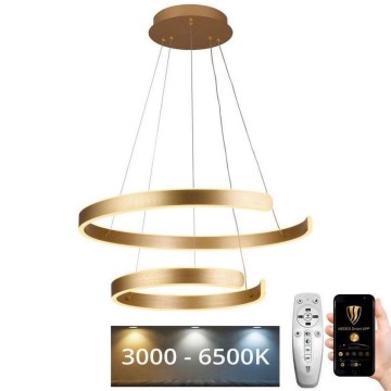 Lustre LED regulável em cabo LED/120W/230V 3000-6500K diâmetro 60 cm + comando à distância