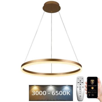 Lustre LED regulável em cabo LED/42W/230V 3000-6500K diâmetro 60 cm + comando à distância