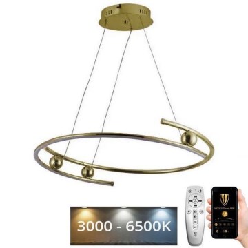 Lustre LED regulável em cabo LED/50W/230V 3000-6500K diâmetro 60 cm + comando à distância