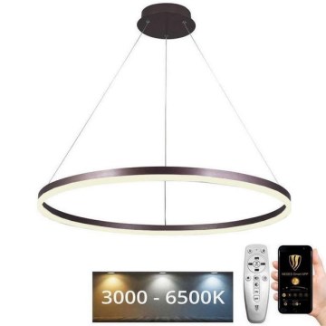 Lustre LED regulável em cabo LED/55W/230V 3000-6500K diâmetro 80 cm + comando à distância