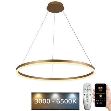 Lustre LED regulável em cabo LED/55W/230V 3000-6500K diâmetro 80 cm + comando à distância