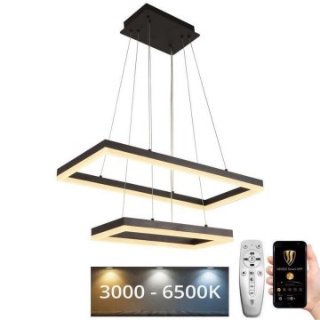 Lustre LED regulável em cabo LED/65W/230V 3000-6500K + comando à distância