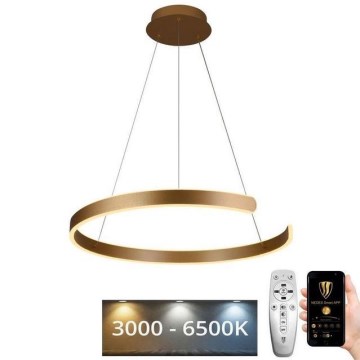 Lustre LED regulável em cabo LED/70W/230V 3000-6500K diâmetro 60 cm + comando à distância