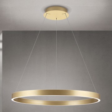 Lustre LED regulável suspenso em cabo KOLK LED/80W/230V 2700/3000/4000K Ø 80 cm dourado