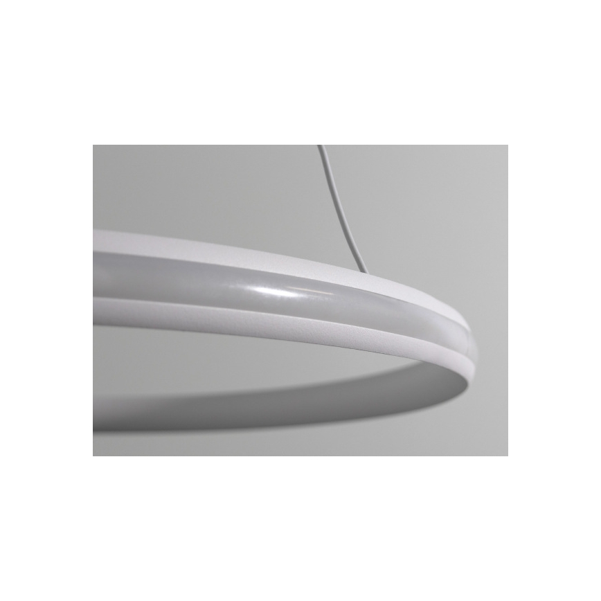 Lustre LED dimerizável suspenso por cabo LED/55W/230V 3000-6500K Ø 60 cm + controlo remoto
