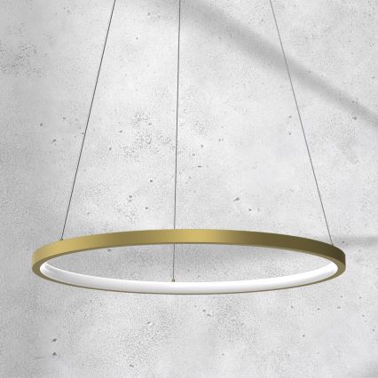 Lustre LED suspenso em cabo ROTONDA LED/27W/230V dourado