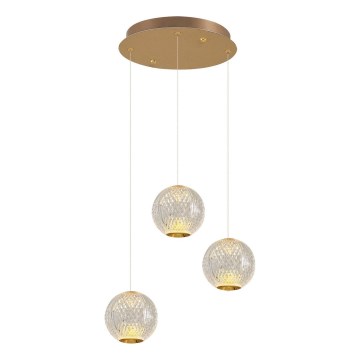 Lustre LED suspenso em cabo CREMONA 3xLED/5W/230V 3000K dourado