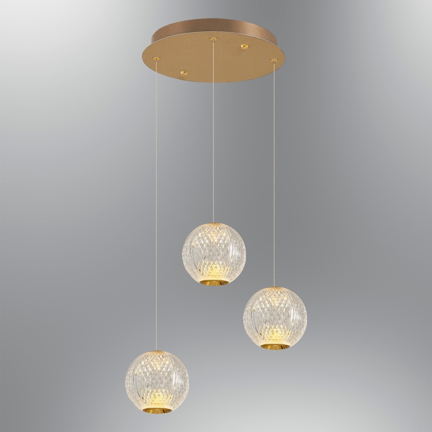 Lustre LED suspenso em cabo CREMONA 3xLED/5W/230V 3000K dourado