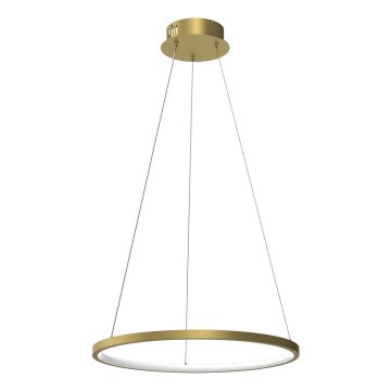 Lustre LED suspenso em cabo ROTONDA LED/27W/230V dourado