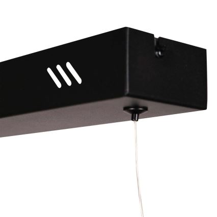 Lustre LED suspenso por cabo BERNADETTA LED/20W/230V 4000K preto