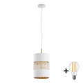 Lustre LED suspenso por cabo BOGART 1xE27/15W/230V branco/dourado