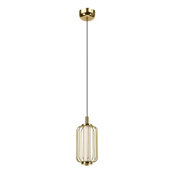 Lustre LED suspenso por cabo BONNIE LED/10W/230V 3000K dourado