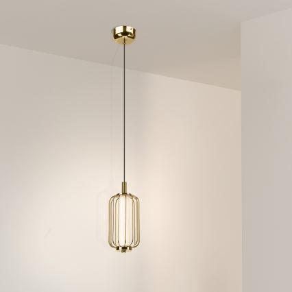 Lustre LED suspenso por cabo BONNIE LED/10W/230V 3000K dourado
