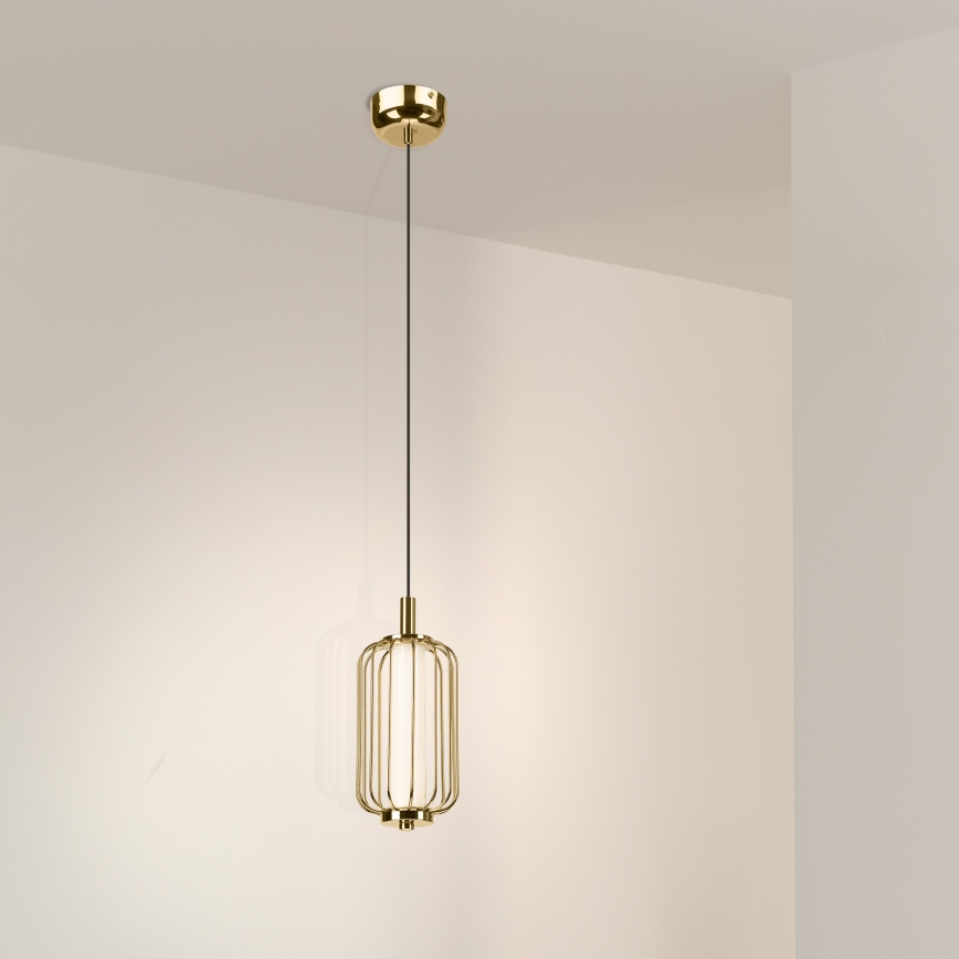 Lustre LED suspenso por cabo BONNIE LED/10W/230V 3000K dourado