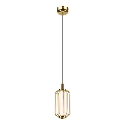 Lustre LED suspenso por cabo BONNIE LED/10W/230V 3000K dourado