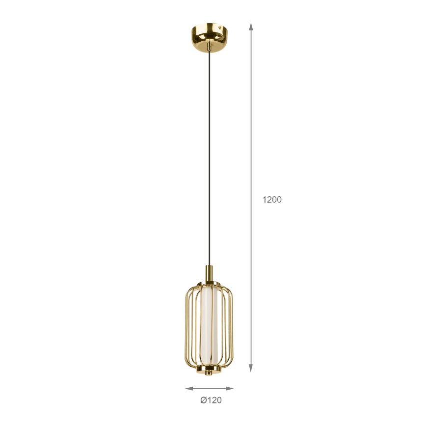Lustre LED suspenso por cabo BONNIE LED/10W/230V 3000K dourado